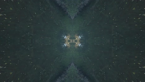 Greenery-Kaleidoscope-using-forest-imagery-from-Wissahickon-Creek,-Philadelphia,-#60