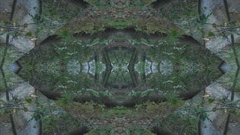 Greenery-Kaleidoscope-using-forest-imagery-from-Wissahickon-Creek,-Philadelphia,-#45