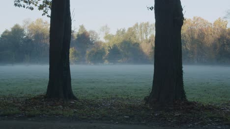 A-bird-flies-away-during-a-cold-and-foggy-morning-in-the-park-of-Monza,-in-Italy,-during-autumn,-just-before-the-sunrise-in-a-symmetrical-scenario