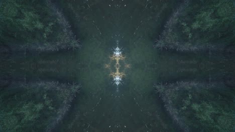Greenery-Kaleidoscope-using-forest-imagery-from-Wissahickon-Creek,-Philadelphia,-#66