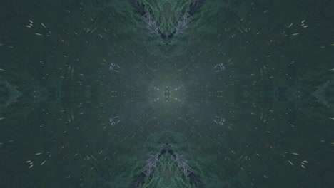 Greenery-Kaleidoscope-using-forest-imagery-from-Wissahickon-Creek,-Philadelphia,-#55