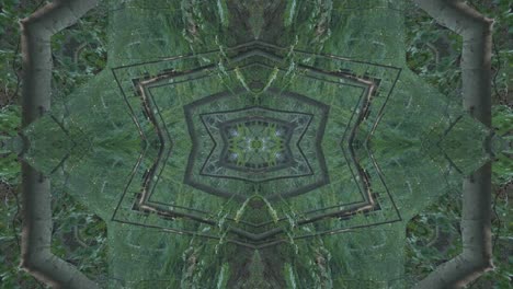 Greenery-Kaleidoscope-using-forest-imagery-from-Wissahickon-Creek,-Philadelphia,-#64