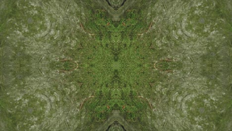 Grünes-Kaleidoskop-Mit-Waldbildern-Aus-Wissahickon-Creek,-Philadelphia,-#46