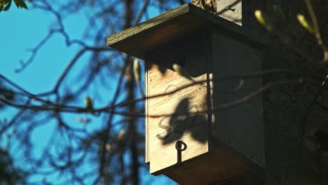 Blu-Sky-Vogelhaus-An-Einem-Baum-Befestigt