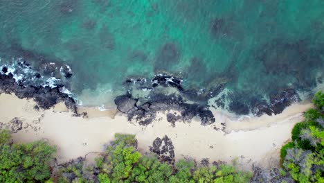 Turquoise-water-on-a-sandy-beach-and-rocky-reef-in-Hawaii---straight-down-aerial-bird's-eye-view