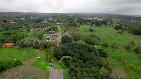 Greenwell-farms-fertile-big-island-Hawaiian-coffee-farm-production-aerial-view-flying-over-homestead