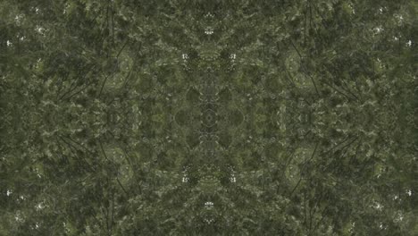Greenery-Kaleidoscope-using-forest-imagery-from-Wissahickon-Creek,-Philadelphia,-#63