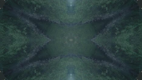 Greenery-Kaleidoscope-using-forest-imagery-from-Wissahickon-Creek,-Philadelphia,-#61