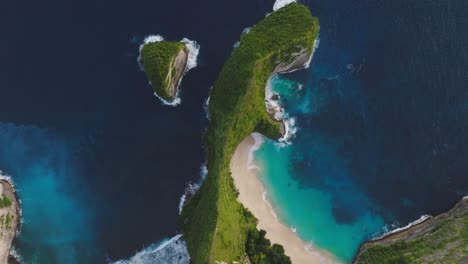 Top-down-view-of-T-Rex-cliff-Kelingking-Beach-surrounded-by-deep-blue-water,-Nusa-Penida,-aerial