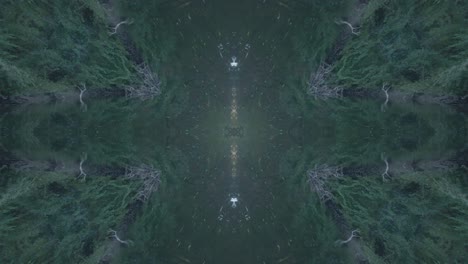 Grünes-Kaleidoskop-Mit-Waldbildern-Aus-Wissahickon-Creek,-Philadelphia,-#51