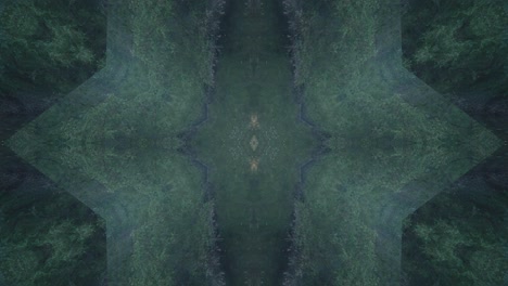 Greenery-Kaleidoscope-using-forest-imagery-from-Wissahickon-Creek,-Philadelphia,-#67