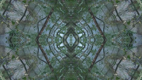 Grünes-Kaleidoskop-Mit-Waldbildern-Aus-Wissahickon-Creek,-Philadelphia,-#47