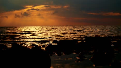 Nature-Dark-golden-color-sunset-Ocean-view-waterflow-hitting-the-rocks-and-leaf's-at-night