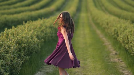 Beautiful-girl-in-a-crimson-dress-runs-across-the-field-with-flowers-in-a-basket