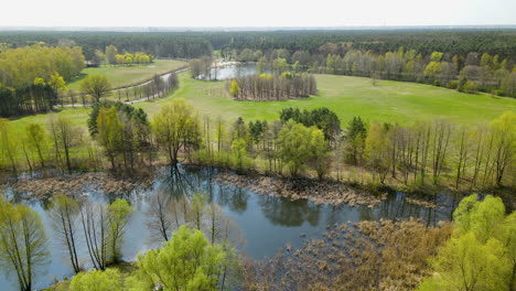 Sumpfgebiete-Und-Wiesen-Im-Naturpark-Myslecinek-In-Polen
