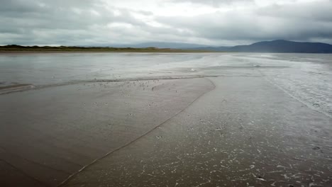 Group-of-birds-skim-the-waves-crashing-onto-an-Irish-sandy-beach