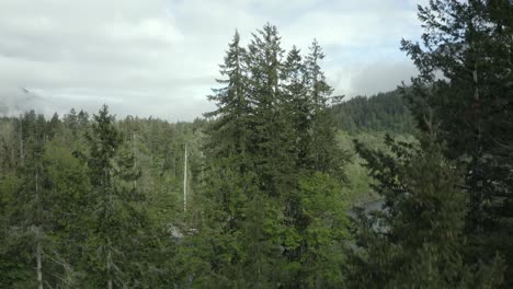 Drone-footage-reveal-of-beautiful-Pacific-Northwest-river-and-misty-forest