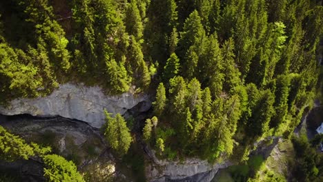 A-mavic-drone-shows-us-a-mountain-covered-with-fir-trees-seen-from-the-sky