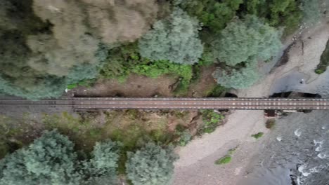 Top-down-view-of-steam-train-tracks-through-the-forrest