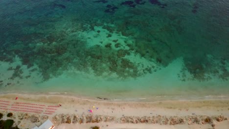 A-drone-shows-a-top-view-of-a-sandy-beach-in-puglia-in-italy-and-the-bottom-of-the-water-and-gently-reveals-the-horizon