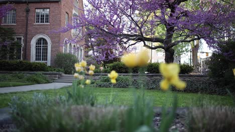 4k-Campus-Der-Michigan-State-University-Ziehen-Fokus-Mit-Blumen