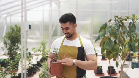 Young-male-gardener-of-Arabic-appearance-walking-in-a-greenhouse-with-a-flowerpot