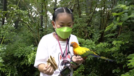 Asian-child-girl-with-love-bird-on-hand,-Asian-little-girl-playing-with-bird-Sun-Conure-parrot-bird-at-zoo,-big-smile-on-the-face,-wearing-face-mask,-travel-in-an-era-of-covid-19