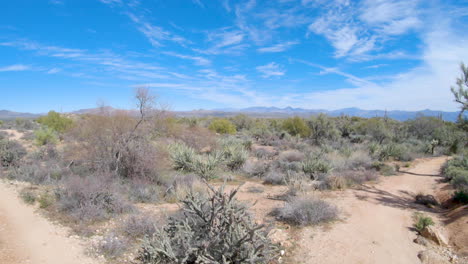 Slow-pan-over-desert-landscape,-shrubs,-bushes,-and-cactus