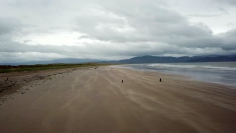 Drone-view-of-the-Irish-shoreline