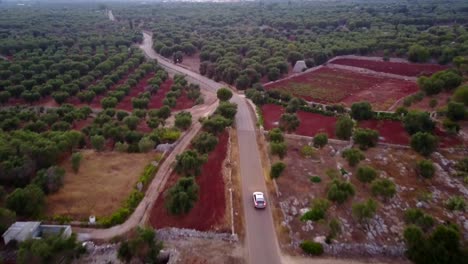 Car-tracked-by-drone-in-a-green-countryside-of-Puglia,-southern-Italy