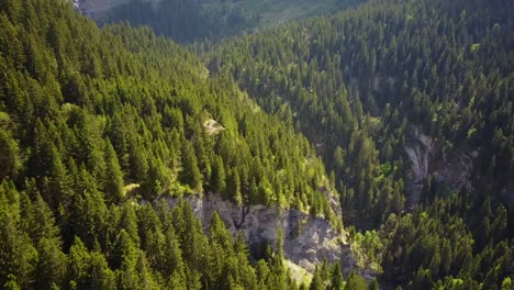 Vista-De-Un-Valle-Alpino-Verde-Lleno-De-Abetos,-Suiza