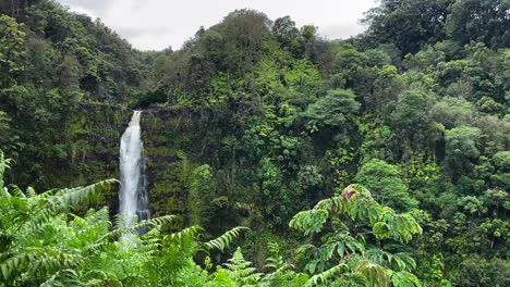 Huge-400ft-waterfall-in-Akaka-Falls-State-Park,-Hawaii,-beautiful-lush-green-nature-mountains
