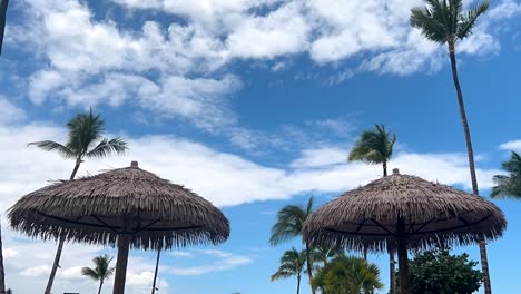 Wolkengebilde-über-Den-Palmen-Und-Schattigen-Tiki-Hula-Regenschirmen-An-Einem-Tropischen-Strand---Bewegungszeitraffer