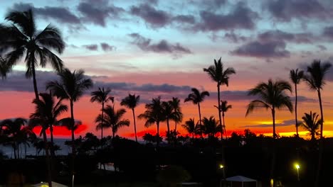 Palm-trees-in-silhouette-with-an-amazing-sunset-on-the-horizon-in-a-tropical-paradise---panorama