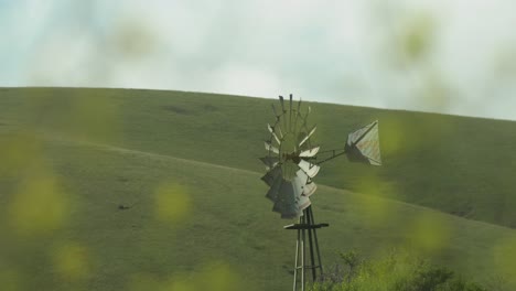 Windmühle-Vor-Pastoralen-Kalifornischen-Hügeln-Mit-Blumen-Im-Vordergrund-4k