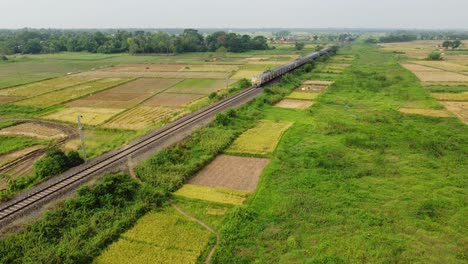 The-indian-local-train-is-running-through-the-middle-of-the-green-field