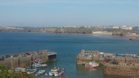 Birds-Flying-Peacefully-Over-Newquay-Harbour-With-View-Of-Mooring-Boats-During-Daytime-At-Cornwall,-England,-UK
