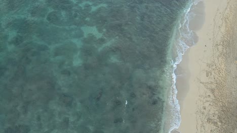 Overhead-view-of-rocky-ocean-floor-in-clear-waters-along-sandy-beach