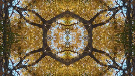 Nature-Kaleidoscope,-Looping,-60fps,-Wissahickon-Creek-Scenery-#1