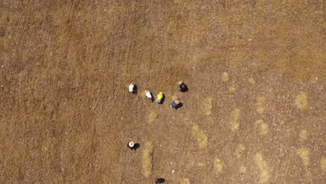 Drone-shot-of-a-hay-field-in-Morocco
