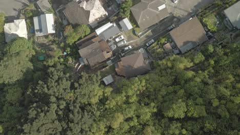 Overhead-view-of-lush-green-mountain-side-revealing-Hawaiian-homes