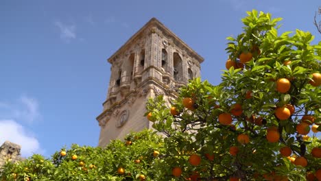 Looking-up-towards-clock-tower-against-blue-sky-with-green-tree-and-oranges