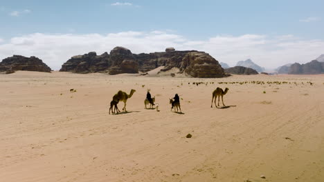 Nomadische-Beduinen,-Die-Mit-Einem-Hund-Auf-Einem-Kamel-Reiten,-Bewegen-Ihre-Schafe-Durch-Die-Wüste-Im-Wadi-Rum,-Jordanien