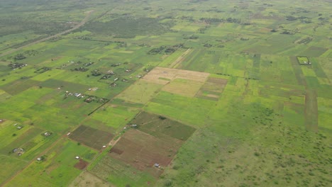 Aerial-view-on-idyllic-green-farmlands-in-Southern-Kenya,-African-agriculture