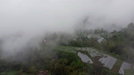 Misty-humid-scenery-in-tropical-outskirts-of-Indonesia,-rural-countryside-with-farmland,-aerial