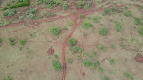 Aerial-top-down-view-on-empty-dirt-road-on-savanna-wilderness-in-Kenya,-Africa