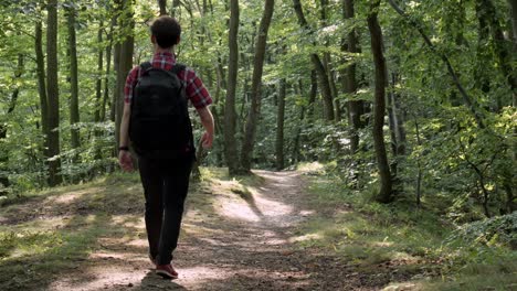 Rear-view-of-single-Caucasian-man-hiking-in-forest-with-black-backpack-on-sunny-day