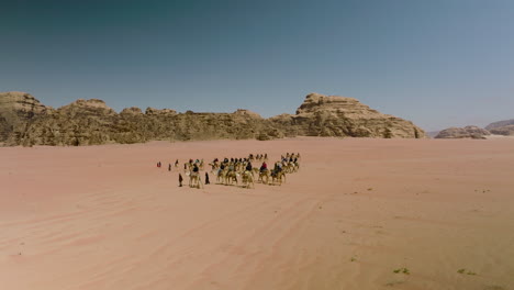 Kamele,-Die-Touristen-Zur-Französischen-Festung-Im-Wadi-Rum-In-Jordanien-Transportieren