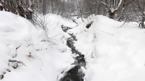 Ein-Kleiner-Wasserstrom,-Der-Durch-Eine-Verschneite-Winterlandschaft-Mit-Bäumen-Fließt