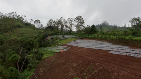Vegetable-farm-on-slope-of-hill-in-tropical-Kintamani,-Bali,-aerial